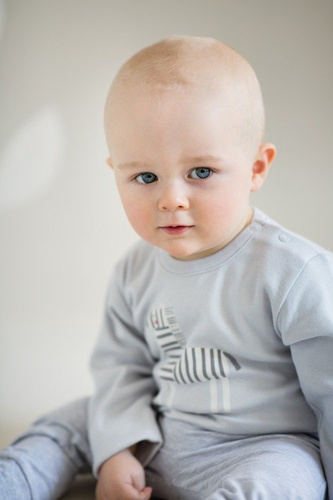 Body z długim rękawem "WILD ANIMALS" Pinokio - szare