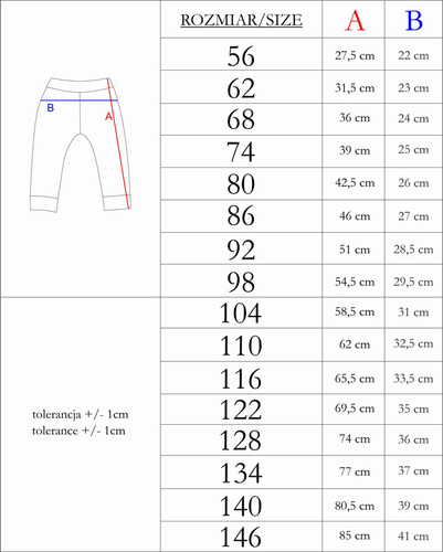 215275 Spodnie dresowe Eddy Nicol