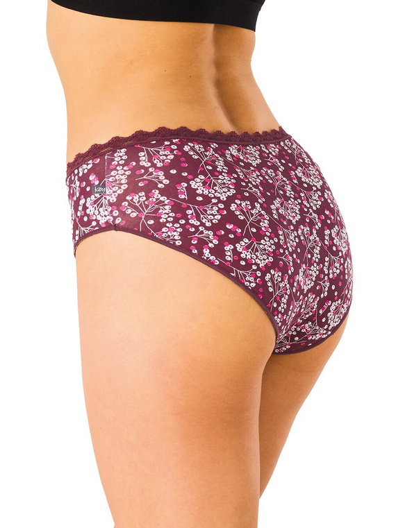 Figi Midi Bikini Key LPC 557 B26 A2 2-Pak Bawełniane Wzorzyste