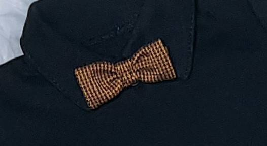 Miłosz Muszka Bambarillo brązowy