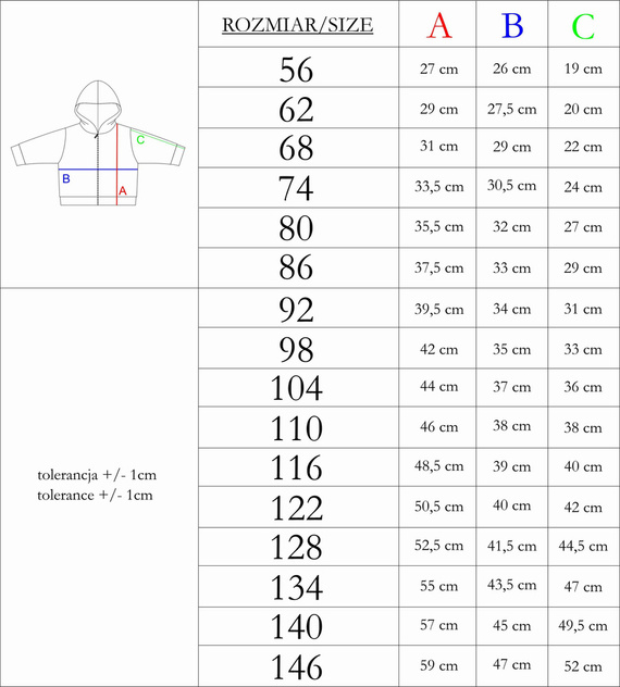 169537 Bluza dresowa z kapturem Nicol - szary