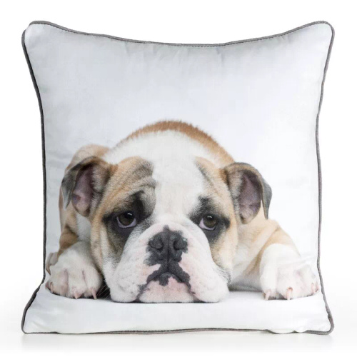 Poszewka Animal buldog 45x45 welwet Eurofirany z suwakiem