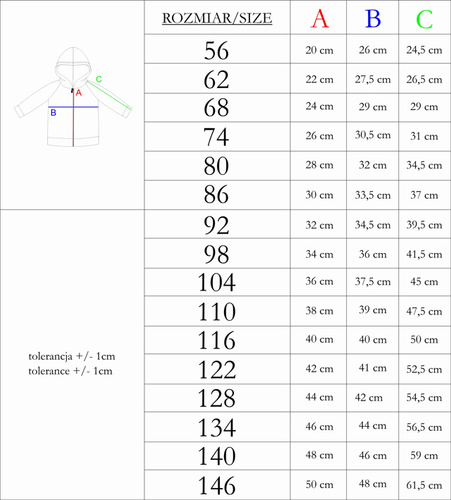 215276 Eddy Bluza dresowa z kapturem Nicol
