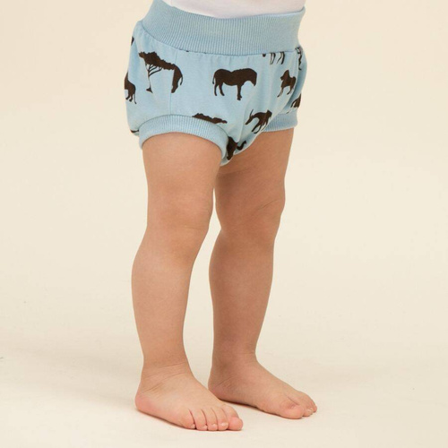 Safari Bloomers niemowlęcy Pinokio - afryka niebieski