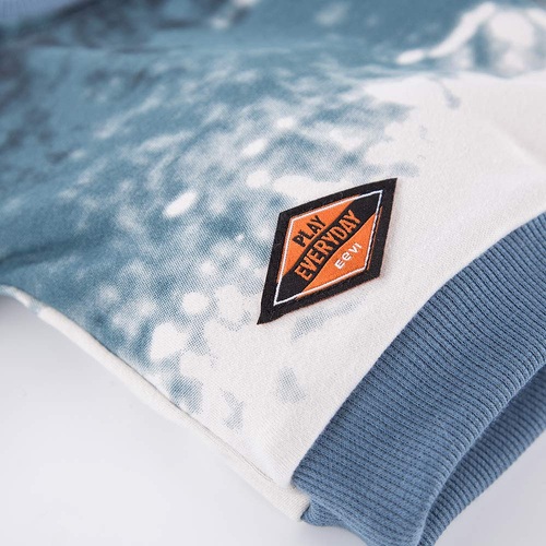 Jump Bluza dresowa dla chłopca Eevi- szary/niebieski