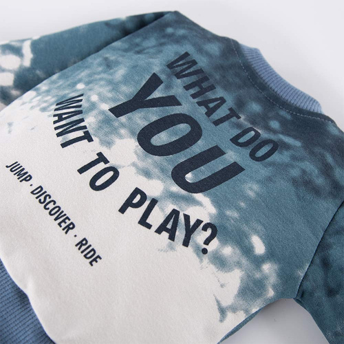 Jump Bluza dresowa dla chłopca Eevi- szary/niebieski