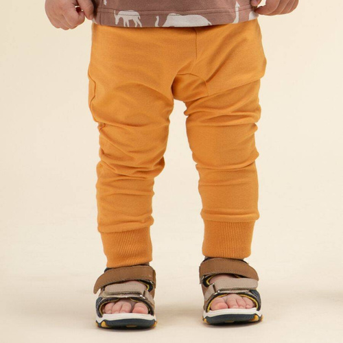 Safari Leginsy dla dziecka Pinokio - pomarańczowy