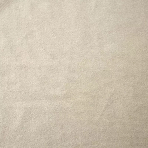 Melanie Zasłona welurowa na taśmie Eurofirany kremowy