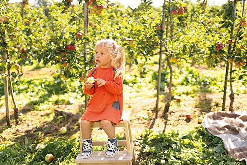 Adventure Tunika dresowa z długim rękawem Ewa Klucze- rudy