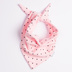 Apaszka