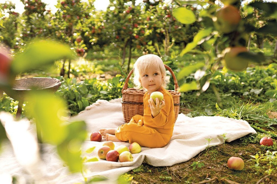 Spodnie z guzikami "Simply Comfy" Ewa Klucze- miodowy