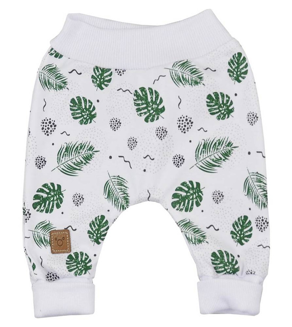 Monstera Spodenki niemowlęce Koala