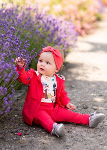 ABN-4054/KOR Kolorowy Las Bluza dresowa z kapturem z bawełny organicznej Nini malinowy