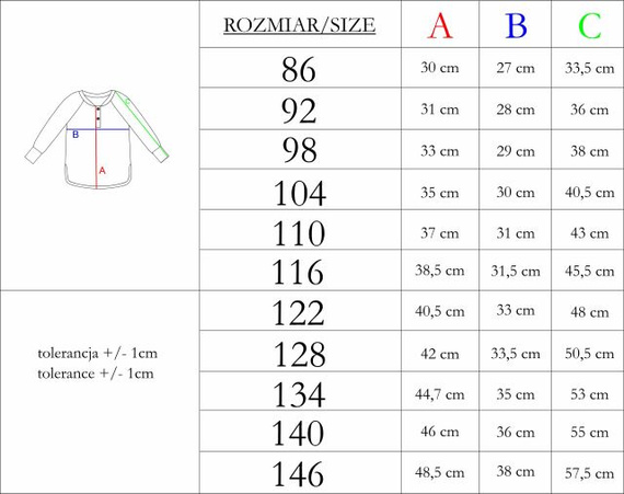 227139 Nicol BENEK Bluzka chłopięca raglan henley paski długi rękaw