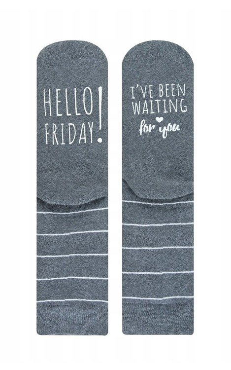 Skarpety Życiowe Instrukcje frotte Soxo szary