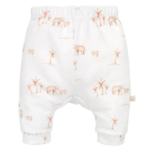 Elephants Spodenki bawełniane Yosoy