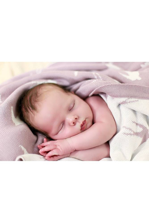 2108 Kocyk bambusowy Swallow Doctor Nap - rose