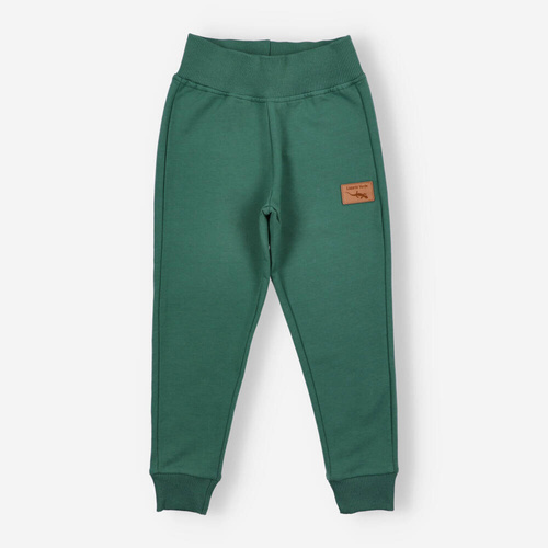 KAR-0040/ZIE Spodnie dresowe dla chłopca Lagarto Verde - zielony