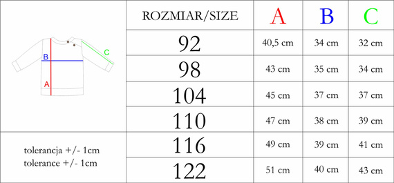 210300 Teddy Bluza dresowa dla chłopca Nicol