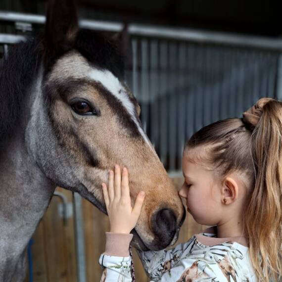 Horse Spodnie dzwony Bambarillo beżowy 