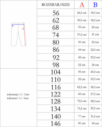 209201 Legginsy "Rosy" Nicol