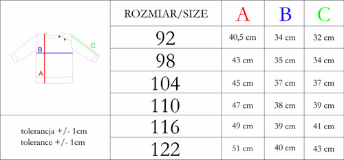 210300 Teddy Bluza dresowa dla chłopca Nicol